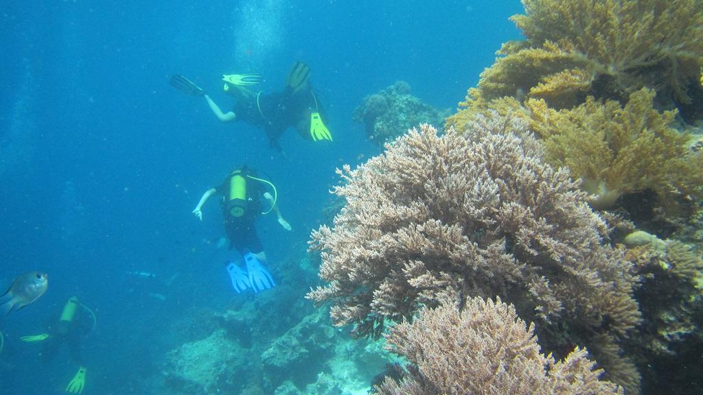 Mbudya Island - Full-Day Tour - Image 4